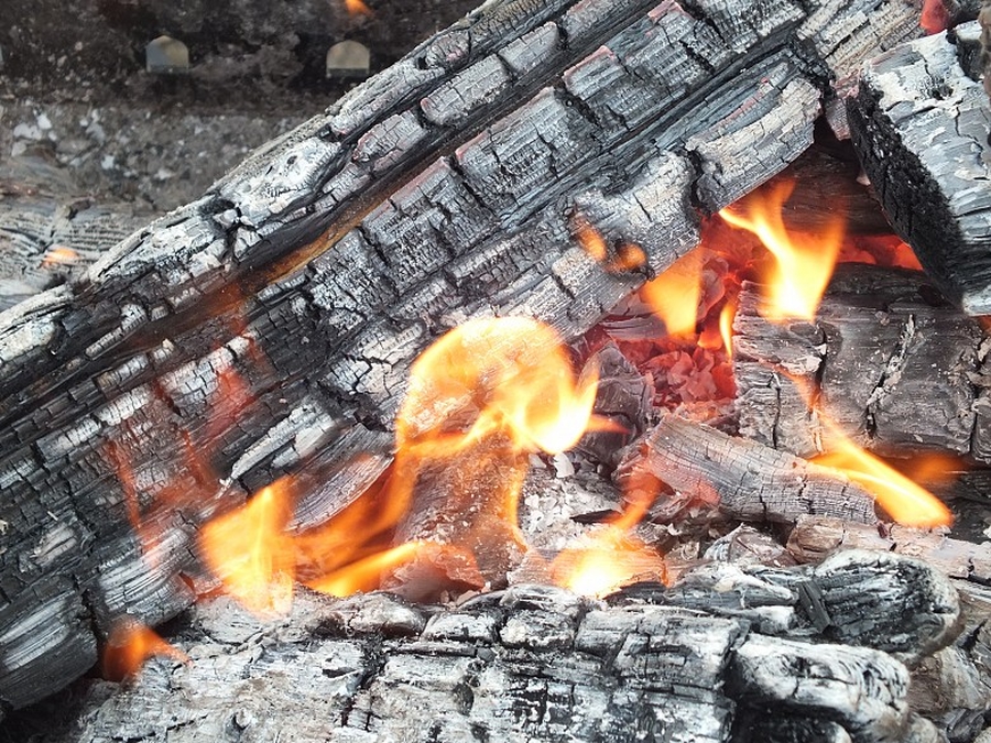 Ночной пожар в Гатчинском районе унес жизнь человека